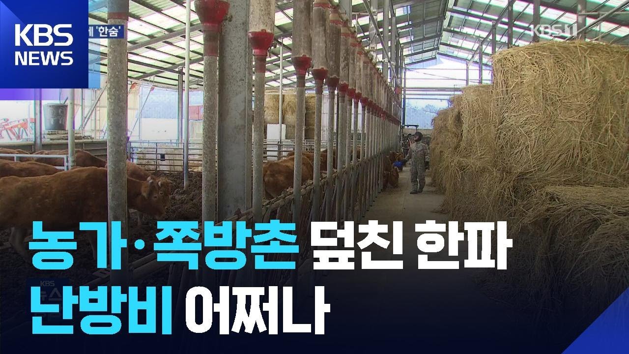 ‘대한’ 추위에 꽁꽁…농가도, 쪽방촌도 비상 / KBS  2026.01.21.