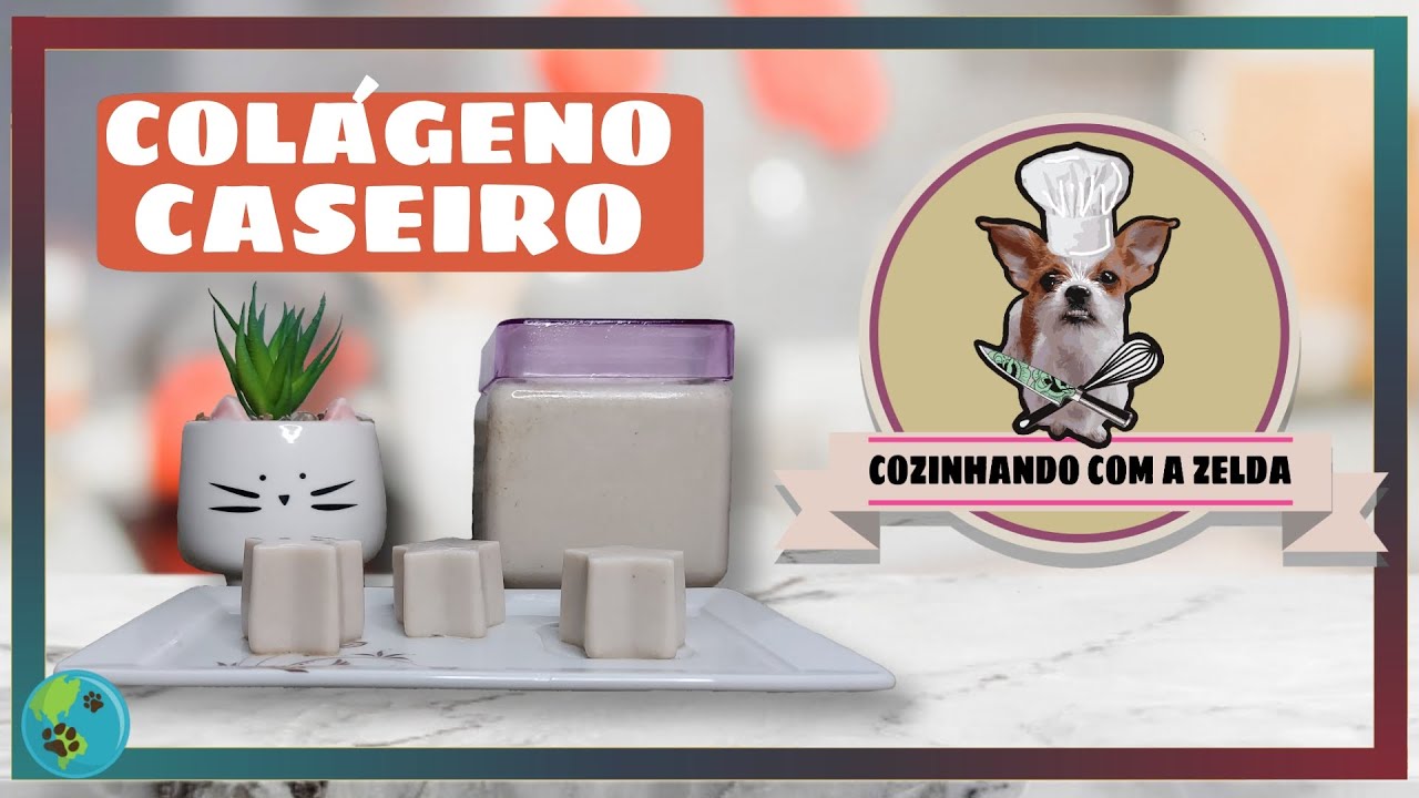 Receita de Geléia de PÉ DE GALINHA para CÃES e GATOS