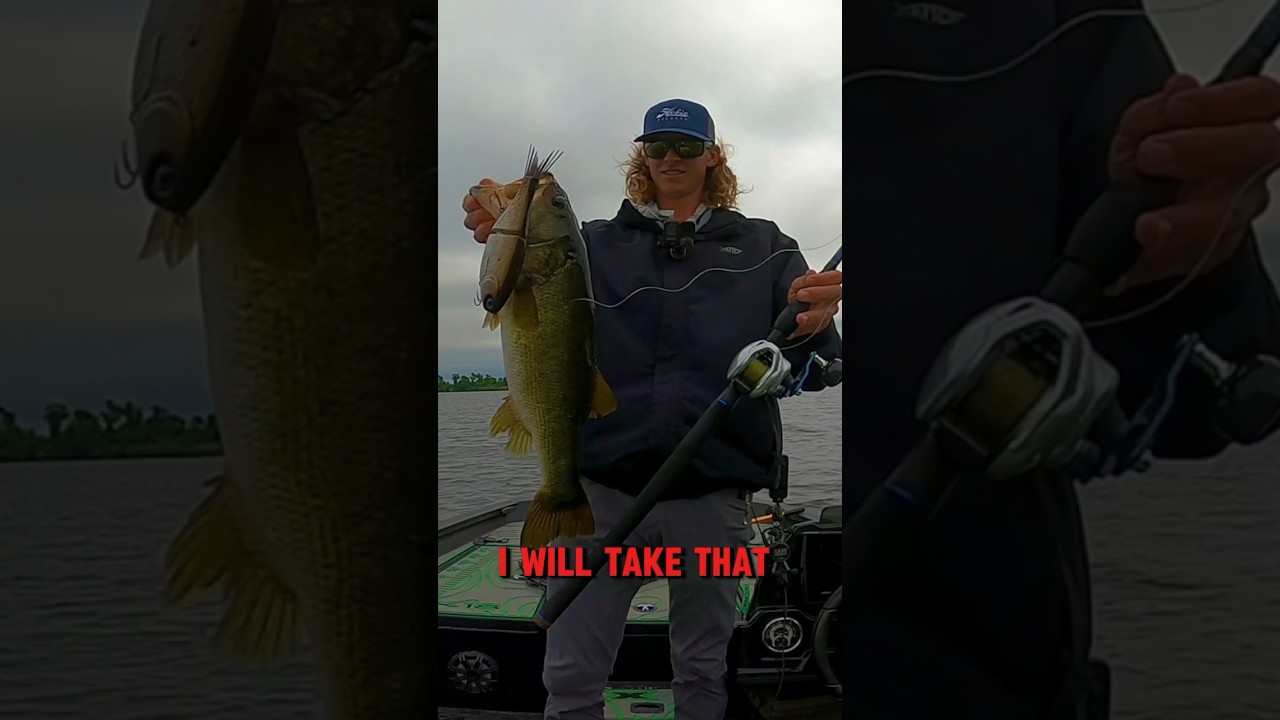 12 HOURS Fishing one BIG Glidebait #swimbaitfishing #glidebaitfishing #bassfishing