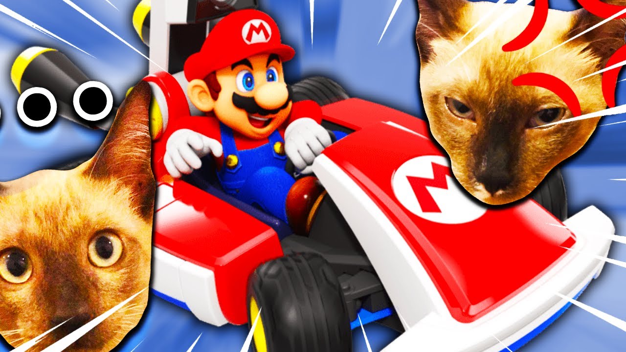 Ce jeu est MAGIQUE ! Mais pas pour les chats… 🙀 C'est MARIO KART LIVE HOME CIRCUIT !