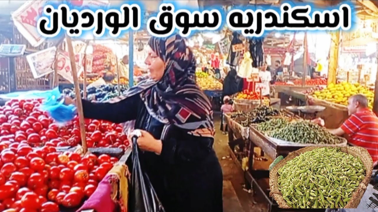 أجمل اسواق اسكندريه سوق الورديان واسعار فراخ خضار سمك فاكهه وفواكه المدبح