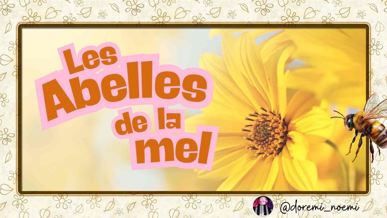 CANÇÓ: LES ABELLES DE LA MEL.