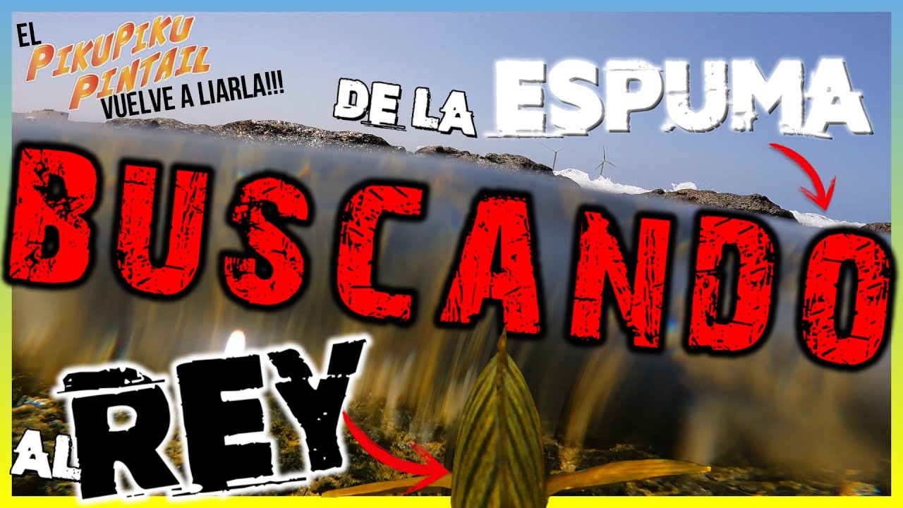 En BUSCA del REY de la ESPUMA [SARGO] | ROCKFISHING EN CANARIAS