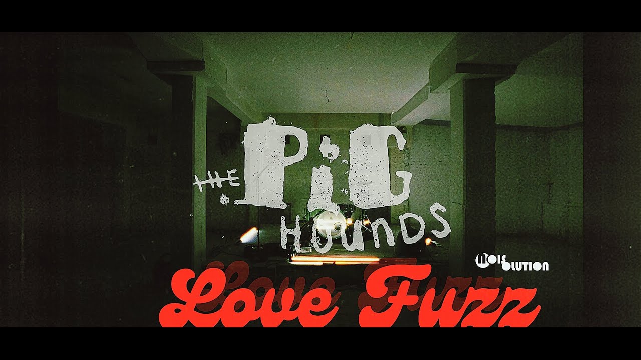 The Pighounds - Love Fuzz (Official Video)