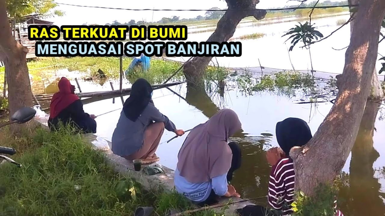 HOKY SEUMUR HIDUP KEPAKE HARI INI...!!! PANEN IKAN MAS DI TEMANI BIDADARI CANTIK