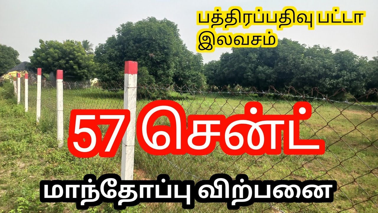 Miss பண்ணிடாதீங்க மக்களே😍✅️ Sema ஆஃபர் GOLD COIN FREE #mangofarmlandsale#farmland#investmentproperty