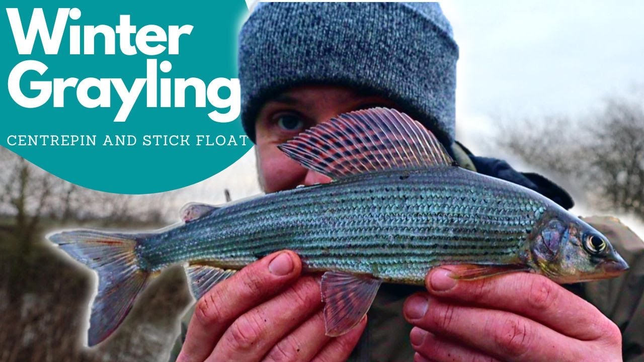 Winter Grayling Fishing  - Centrepin and Stick float - PB Fish?!