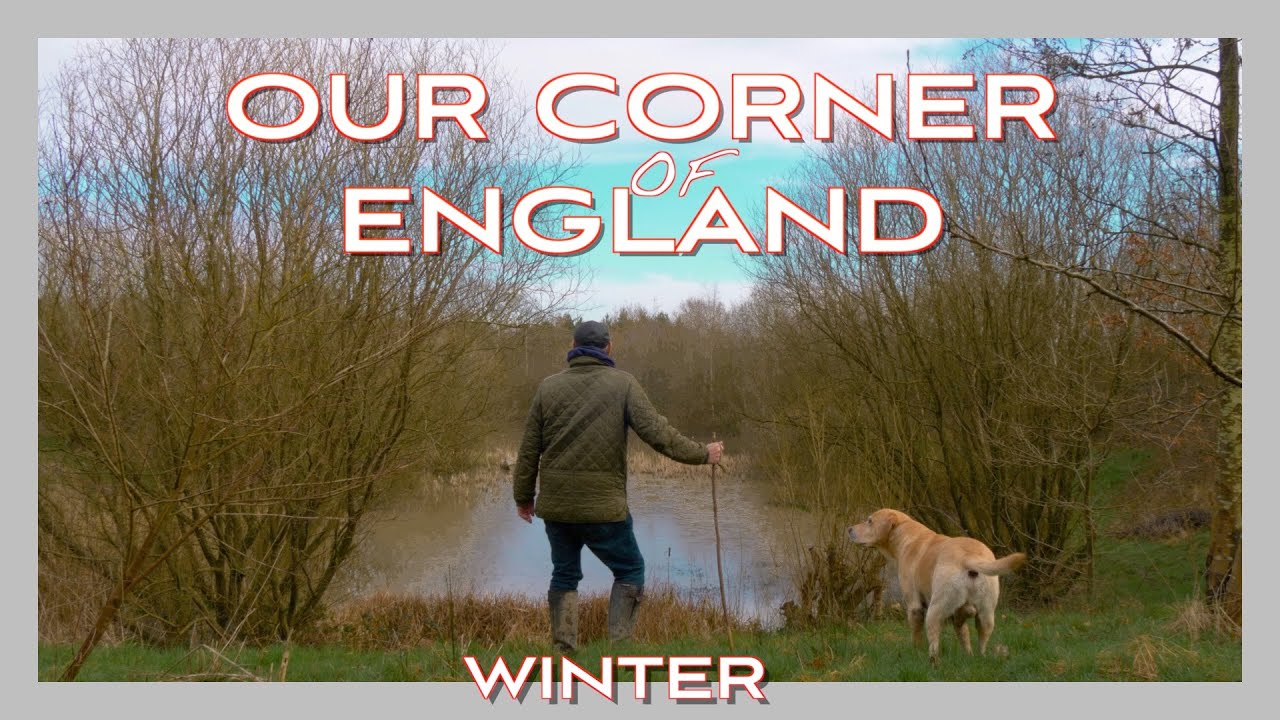 AGONY! I Feared I'd Never Walk Our Woodland Again. Winter in Our Corner of England