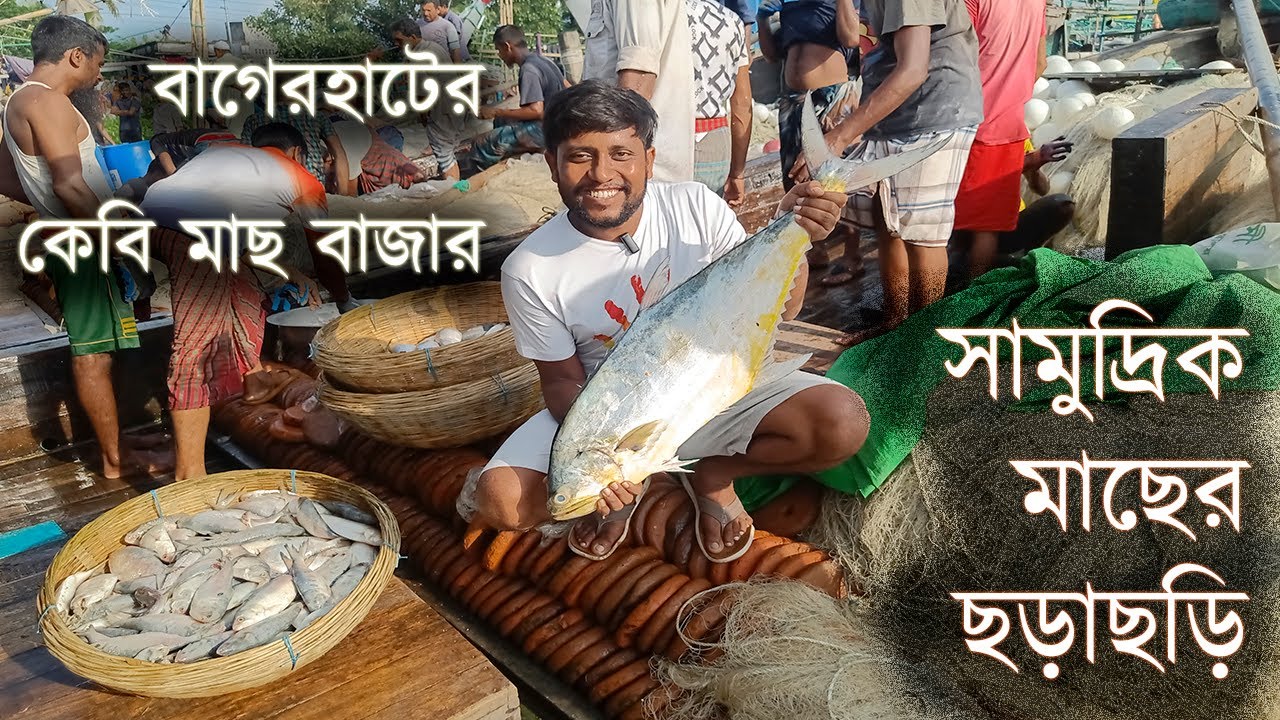 কেবি মাছ বাজারে সামুদ্রিক মাছের ছড়াছড়ি | বাগেরহাট | Explore With Bfine