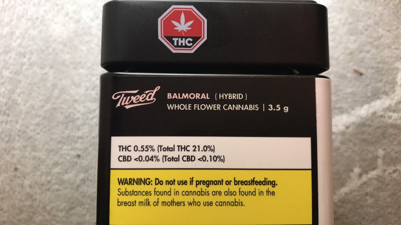 Smoking Some BALMORAL HYBRID 21.0% THC 😱