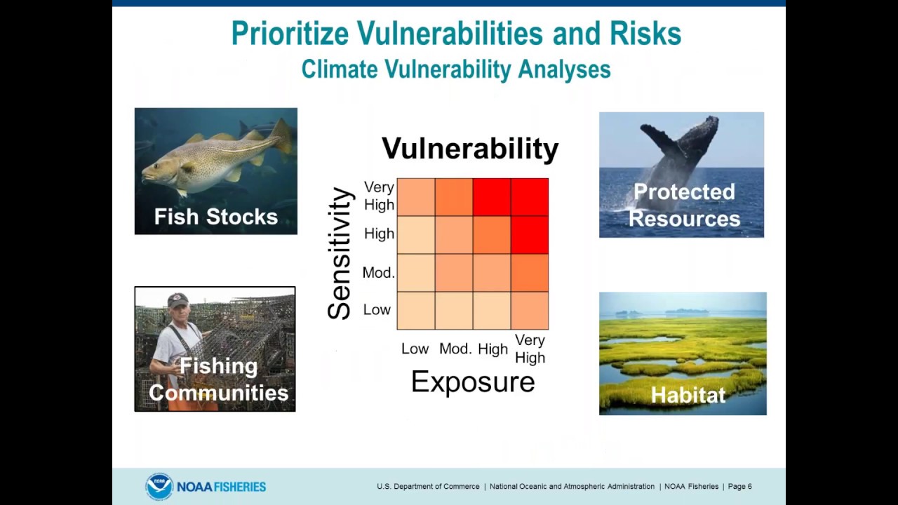 Overview of the EBFM Implementation Plans from NOAA Fisheries Headquarters and the regions