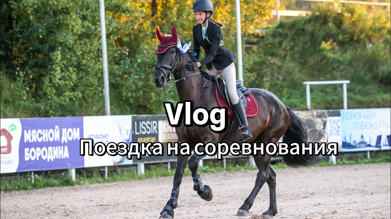Соревнования по конкуру | влог
