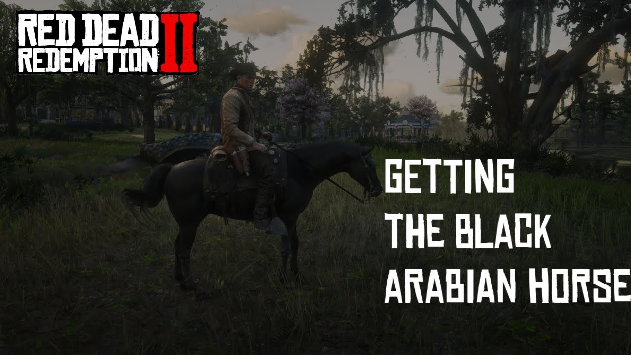 Red Dead Redemption II - Getting the Rare Black Arabian Horse (PS5) (4K)