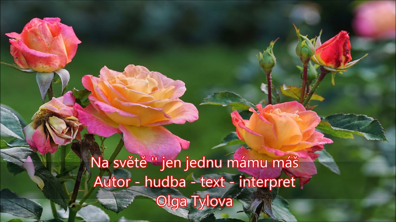 Pozdrav k nebi posílám  ♫ Olga Tylova MUSIC Song ♫