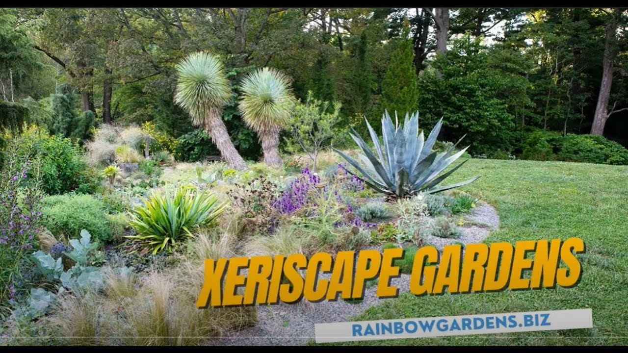 Xeriscape Garden