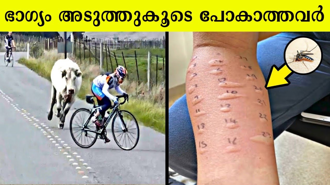 ലോകത്തിലെ ഏറ്റവും നിർഭാഗ്യവാന്മാരായ 10 വ്യക്തികൾ