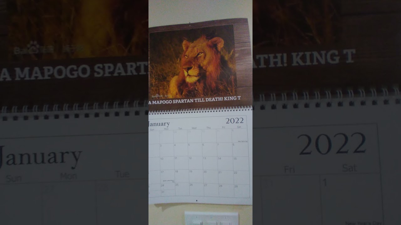 SaTan Mapogo EXPERIENCE... 2022