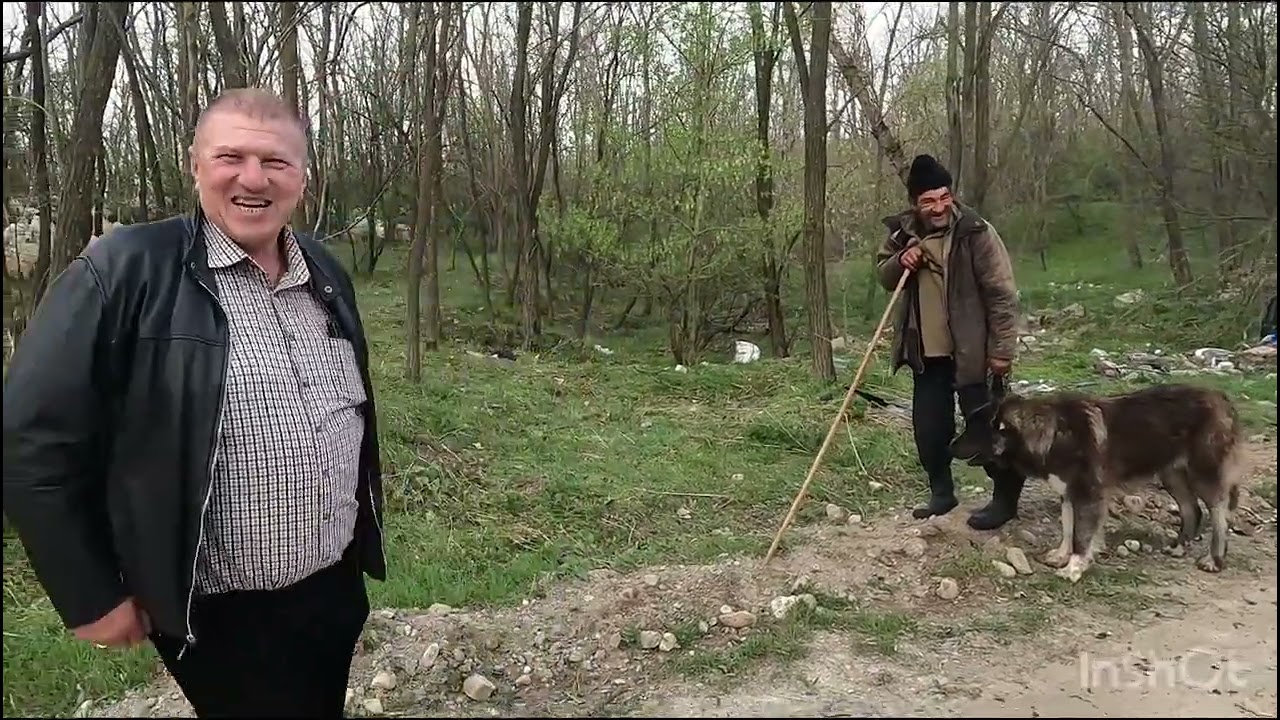 Transhumanta cu Oile DL DILIRICI Gigel din BEREVOESTI .Arges.Omul Cu 3200 Oi -REPOSTAT 