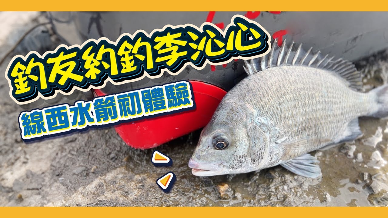 釣友帶釣系列｜彰化線西水箭初體驗｜目標黑鯛出水!?