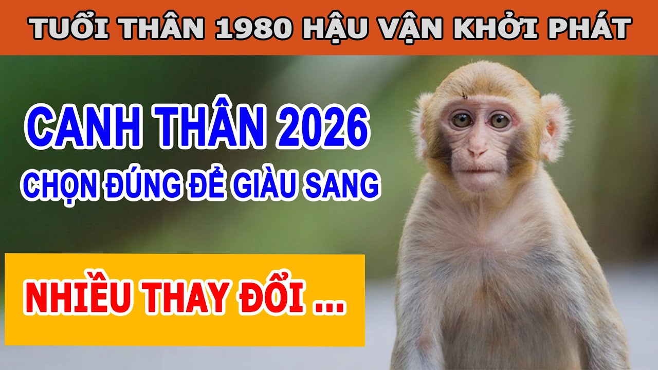Tử Vi 2026 Tuổi Canh Thân 1980 Năm Bản Lề Của Sự Thay Đổi Chọn Đúng Hậu Vận Thăng Hoa - Tử Vi Cổ Học