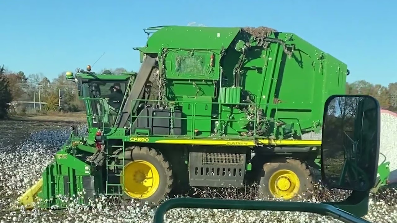 Cotton Harvest 2021