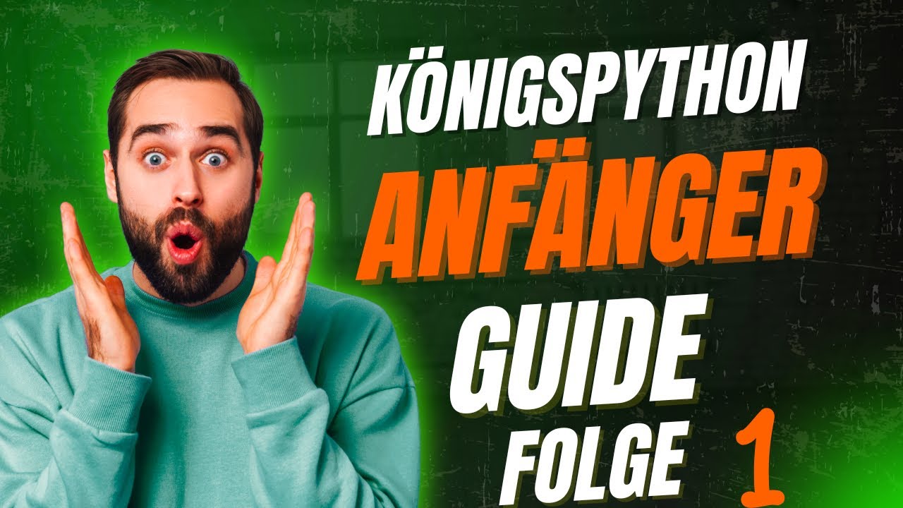 Königspython Anfänger Guide 🐍 Ist der Ball Python das richtige Reptil für dich?