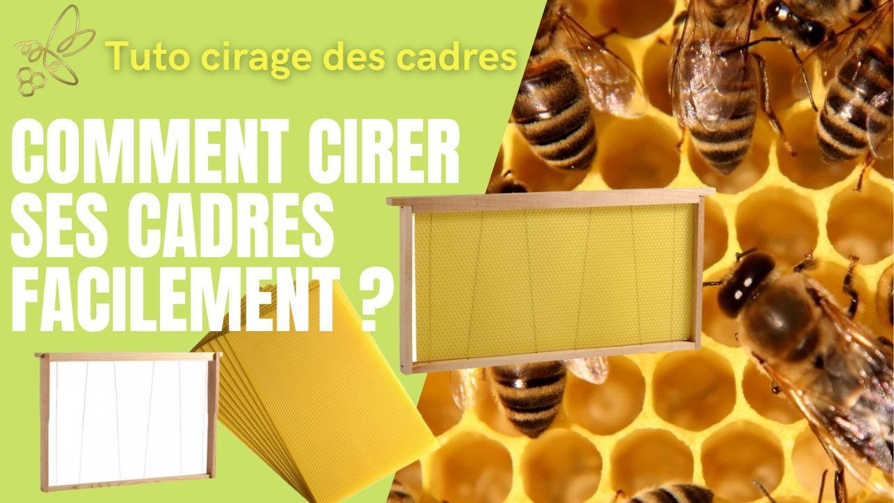 Tuto comment cirer des cadres de ruche facilement #apiculture #abeilles #bee #miel #nahl