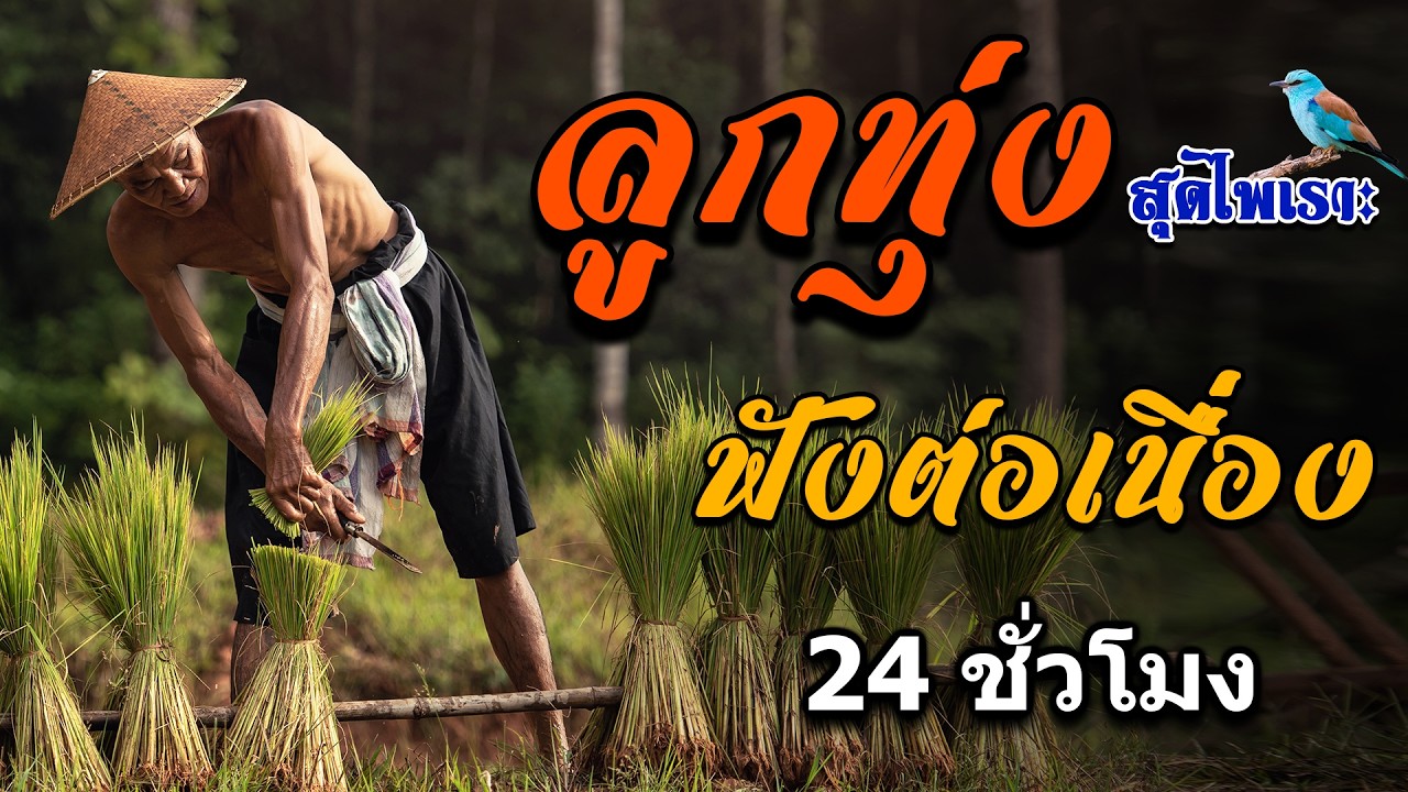 ลูกทุ่งสุดไพเราะ คัดมาพิเศษ ฟังต่อเนื่อง 24 ชั่วโมง #ไม่มีโฆษณา