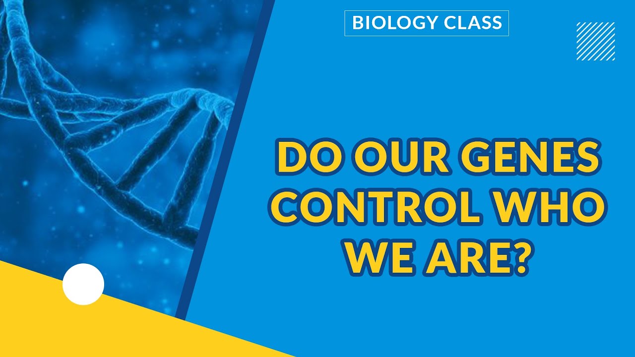 GENETICS PART 1| DO OUR GENES CONTROL WHO WE ARE? | BIOLOGY