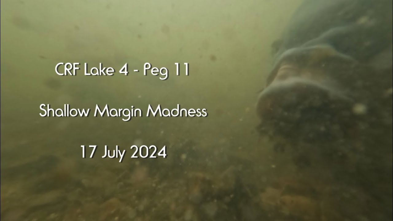 Feeding Carp and silvers frenzy - CRF Lake 4