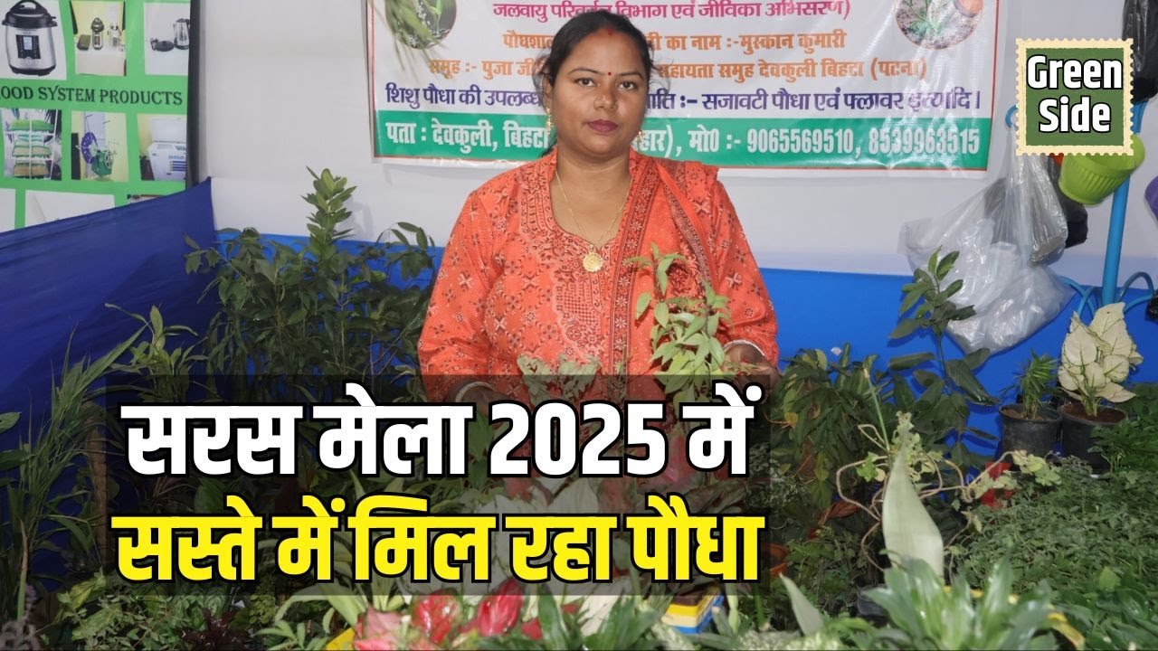 Patna Saras Mela 2025 :Didi ki Paudshala के स्टॉल पर पौधों के दीवानों की लगी भीड़, क्या-क्या हैदेखें