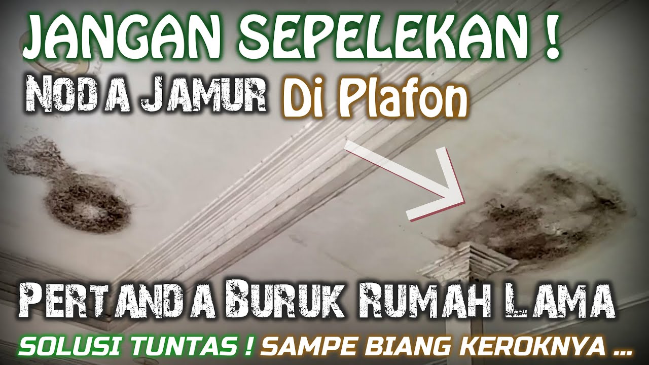 Cara Mengatasi Kebocoran Atap Spandek & Perbaikan Cat Plafon Berjamur - Noda Hitam Selalu Tembus Cat