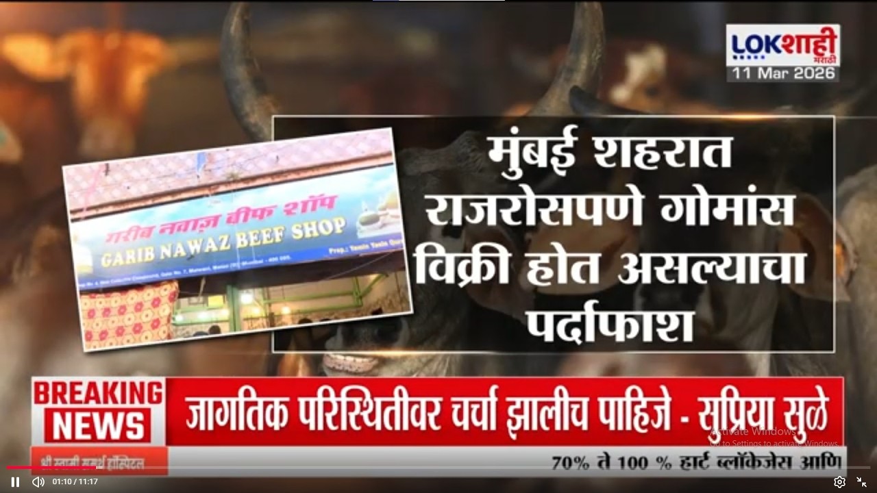 Lokshahi Marathi Special Report | मुंबई शहरात राजरोसपणे गोमांस विक्री होत असल्याचा पर्दाफाश