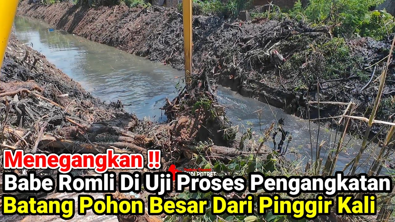 Menegangkan‼️Babe Romli Di Uji Proses Pengangkatan Batang Pohon Besar Dari Pinggir Kali