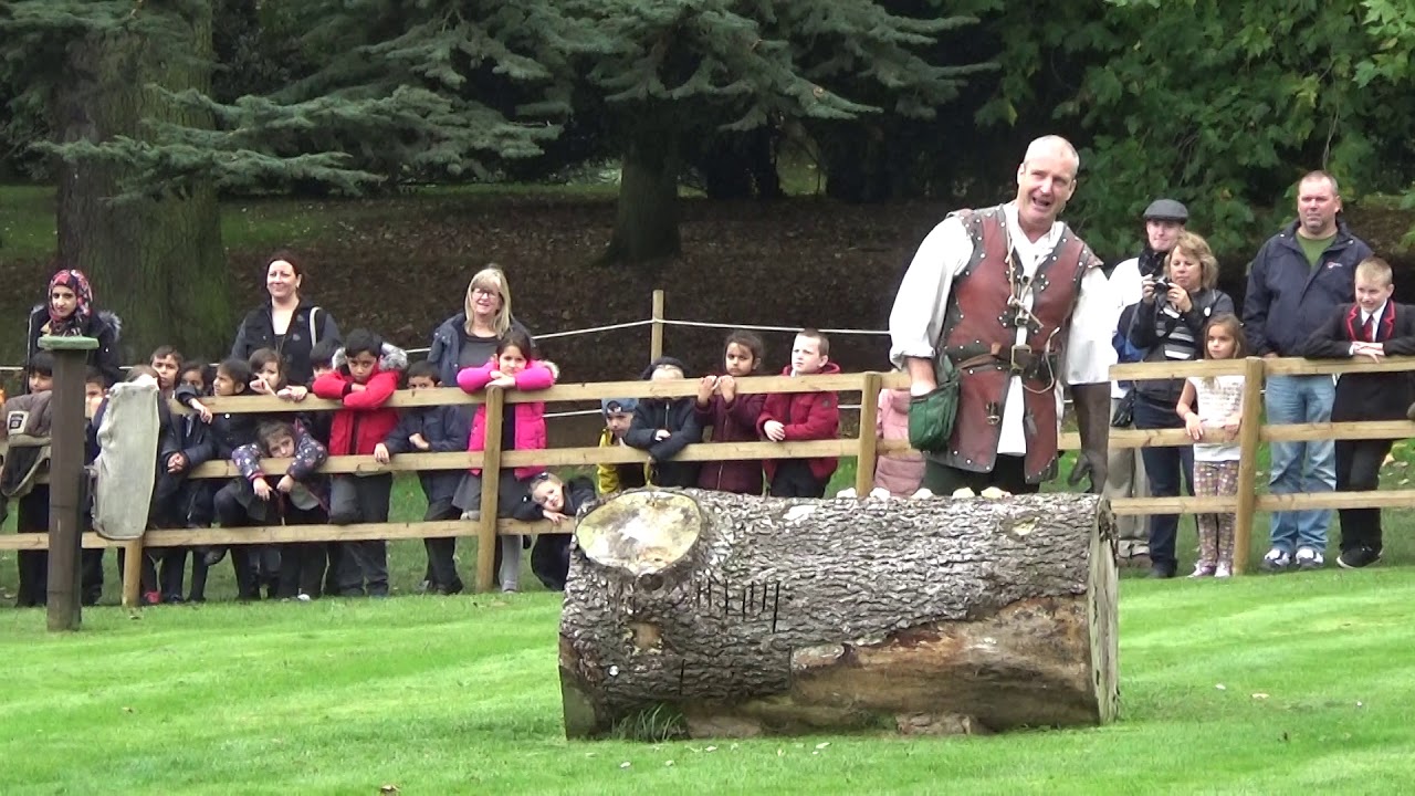 Falconry Warwick Castle- 2017/1