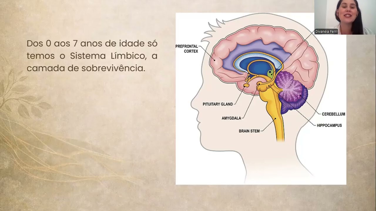 Encontro 1 - Mentoria Florescer