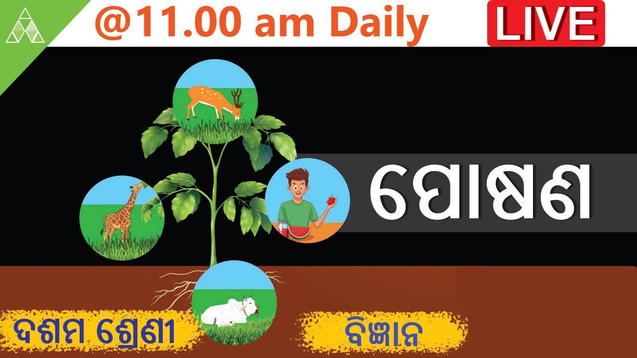 Class 10 Life Science Chapter 1 In Odia | ପୋଷଣ | Nutrition | Odia Medium | Aveti Learning