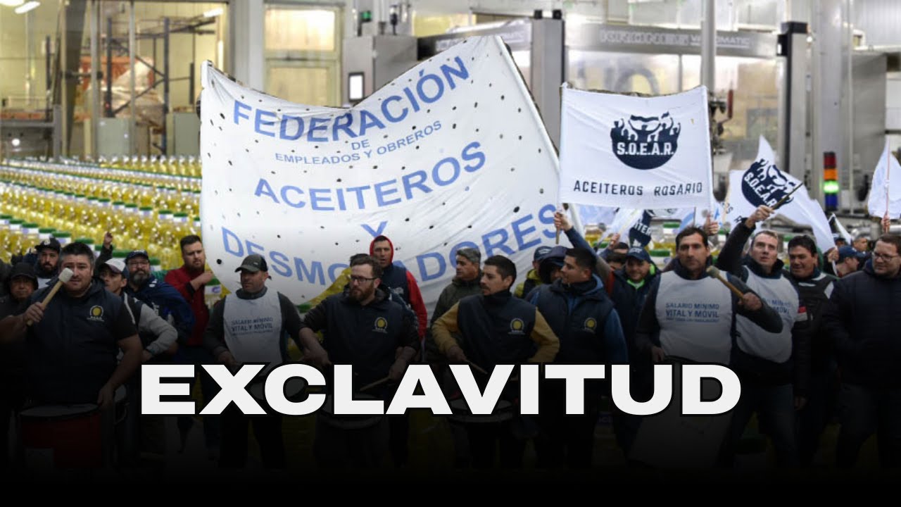 ACEITEROS rechazan la REFORMA LABORAL  | Daniel Yofra con Sietecase