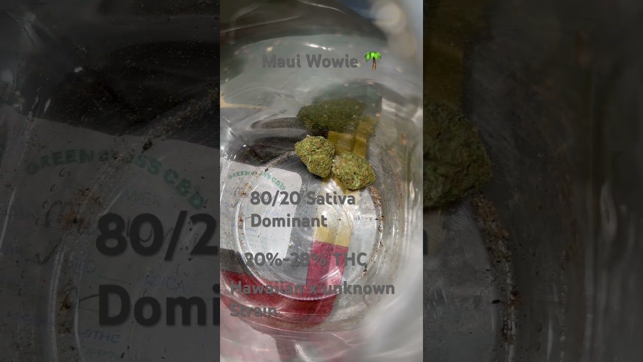 Maui Wowie - the classic iconic Sativa strain from Hawaii #strainreviews #420 #cannabiseducation