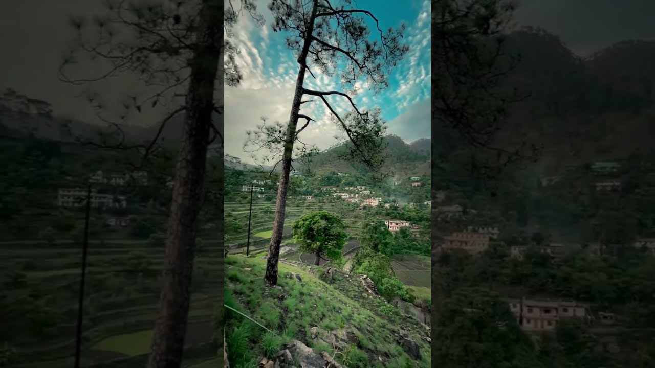 Beautiful village (Uttarakhand) 😍 #shorts #heroislive #shortvideo