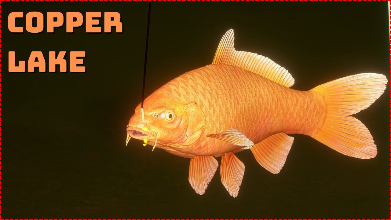 Orenji Ogon & Diks & more koi carp Copper Lake | Russian Fishing 4 (83)