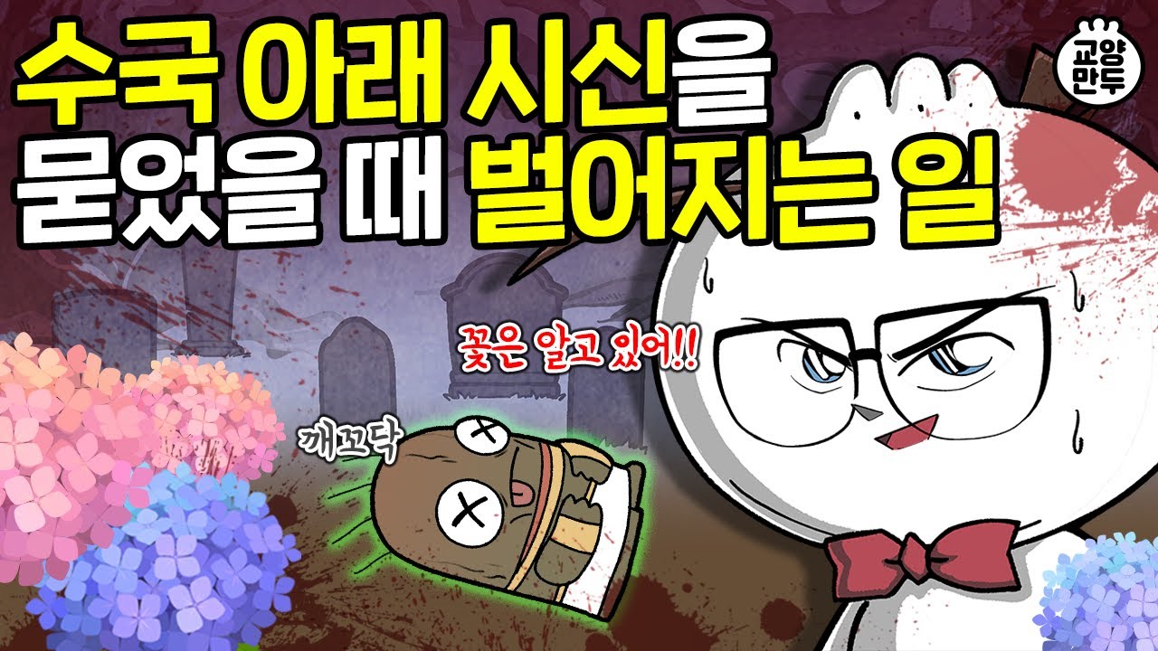 수국 색이 변할 때 알게 되는 소름돋는 사실｜꽃 선물하기 전 꼭 봐야 할 꽃말 이야기