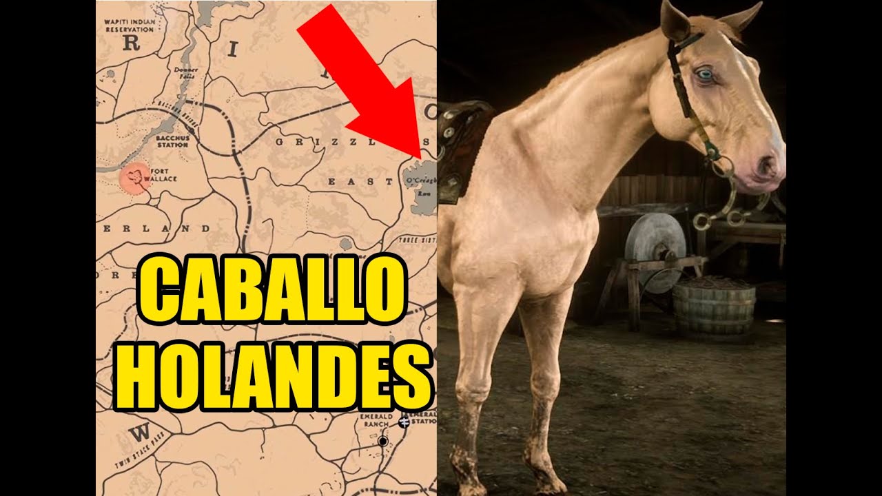 COMO CONSEGUIR EL CABALLO SANGRE HOLANDES EN RED DEAD REDEMPTION 2 #rdr2 #reddeadredemption2