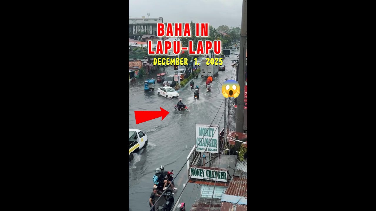 Baha in Lapu-lapu City, Cebu - December 1, 2025