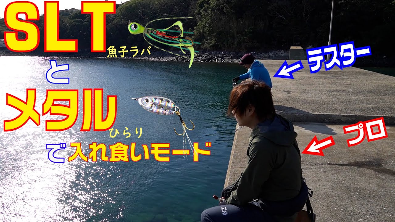 SLTで釣りまくる！プロとテスターが魚子ラバで勝負したら何魚種釣れる？デイアジ、五目、十目？