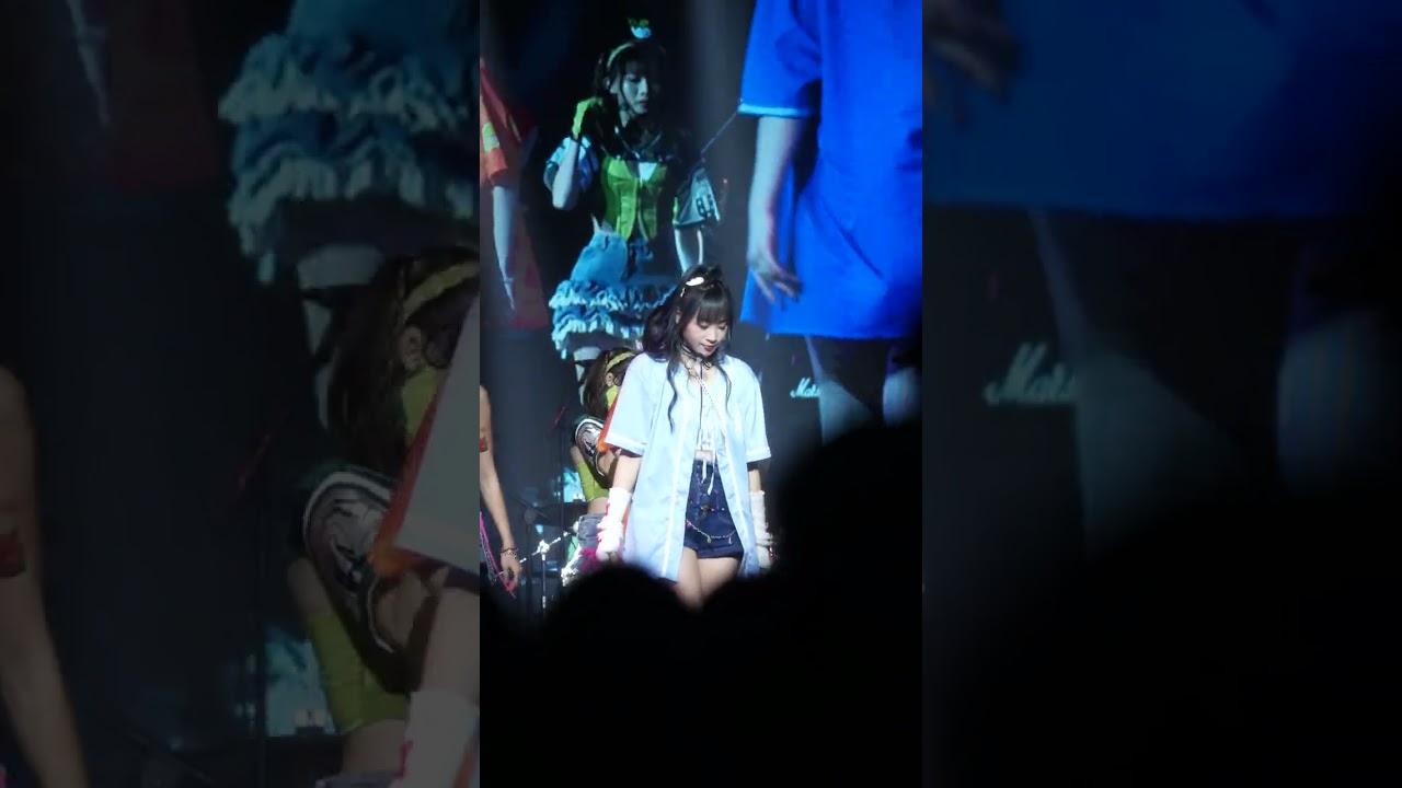 TOH-煦然直拍