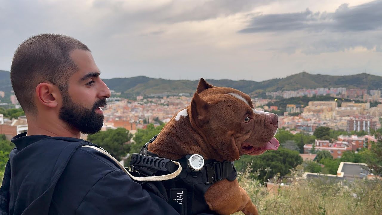 Hiking with my Dog in Barcelona