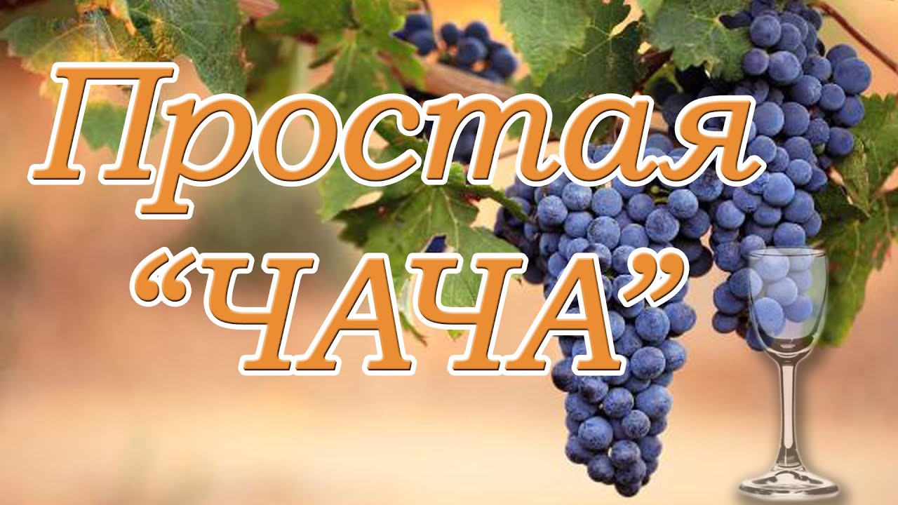 Самогон из винограда или простая ЧАЧА
