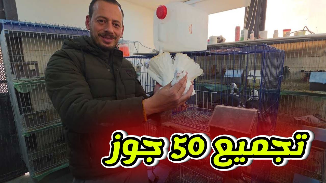 تجميع كل جواز الانتاج في الغرفة
