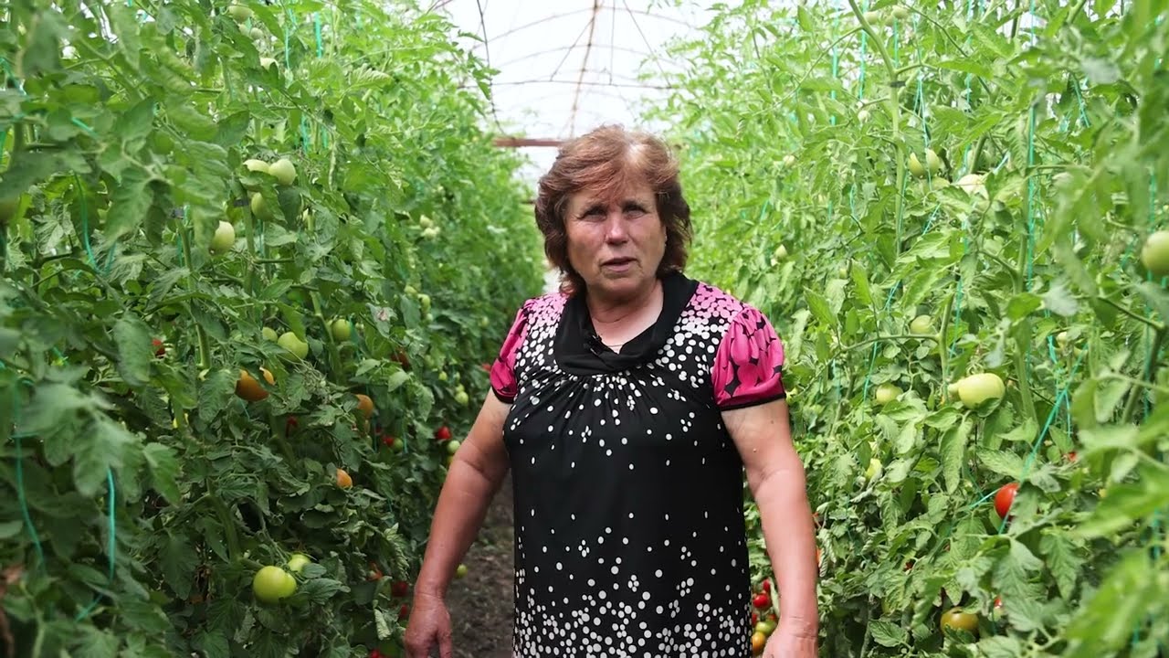 În vizită la Gospodăria Țărănească „Maria Darii” din satul Chetrosu, Drochia